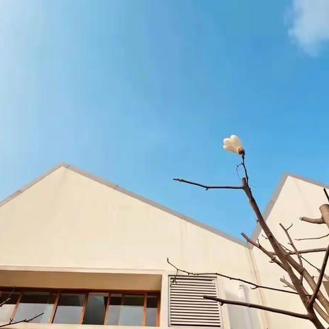 寻一缕春天气息，艺术之花在青小绽放