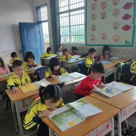 播下读书种子，洒下点点希望，用汗水浇灌，开出阅读之花——周庆小学 二年级 快乐阅读