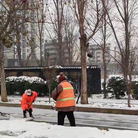 邯郸市城管系统以雪为令 全力以赴清雪除冰保畅通