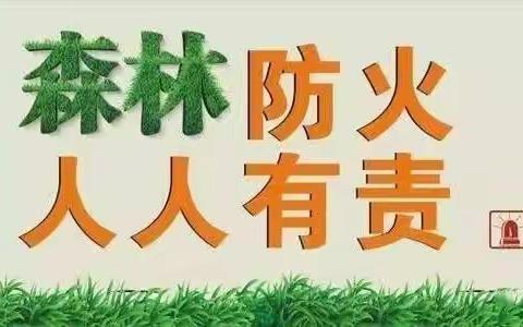 2023年清明节、“壮族三月三”期间森林防火和交通安全——德保县荣华乡中心幼儿园