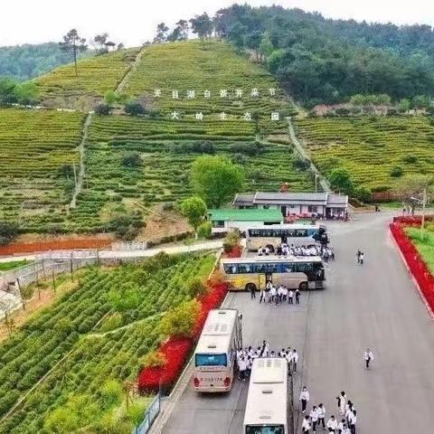 “知茶采茶，妙趣横生”——溧阳市实验初中举行上山采茶实践活动