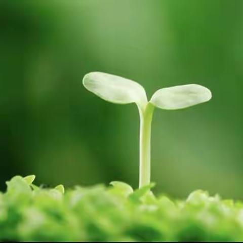 定格刹那，感悟生命－－七（6）、七（11）班＂生命之美＂优秀作业展示