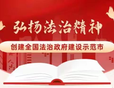 同创法治城市，共享美好生活——禹州市鸿畅镇楼子赵小学开展法治政府建设宣传