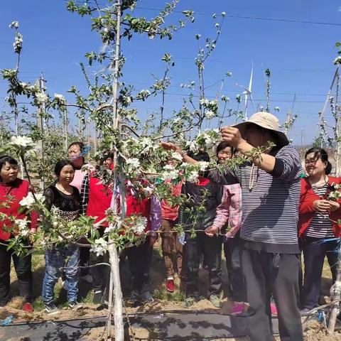 春暖花开时  高素质农民实训忙