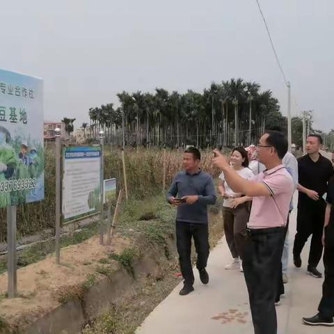 海口市农业技术推广中心到乐东黎族自治县考察学习豇豆病虫害“防虫网+”集成技术