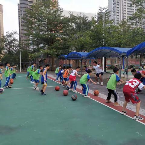 🥇篮球社团总结汇报🥇—林升启