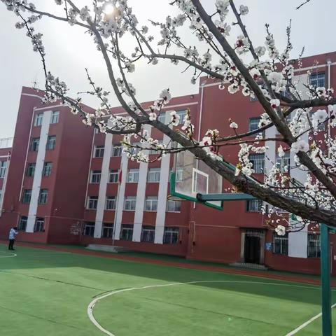 杏 园 欢 迎 您 ！