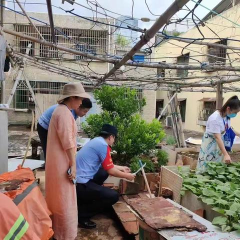 海垦街道联合派出所开展非法种植毒品原植物排查工作