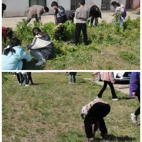 劳动是最光荣不过的，中华儿女就是靠着一双勤劳的手，从无到有，铸就了中国今天的辉煌！