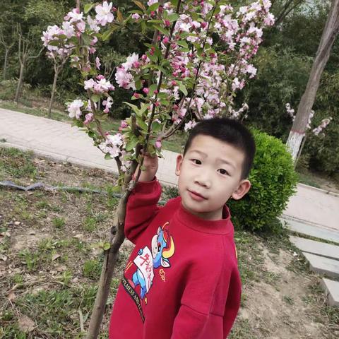 卓越幼儿园的美篇