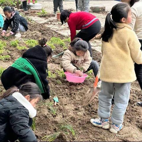 寻春筑梦，不负春光——岳庄小学劳动实践纪实