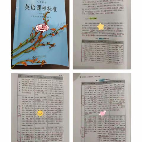 【龙峰·研训】师徒同读一本书之《小学英语新课程标准》