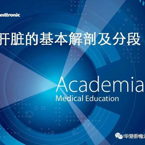 肝脏的基本解剖及分段