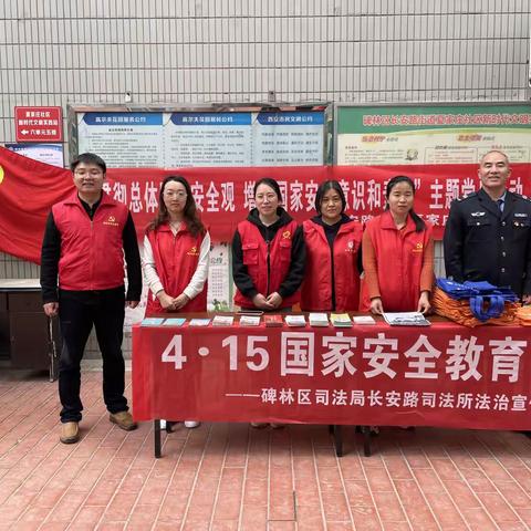 “贯彻总体国家安全观，增强国家安全意识和素养”主题党日活动