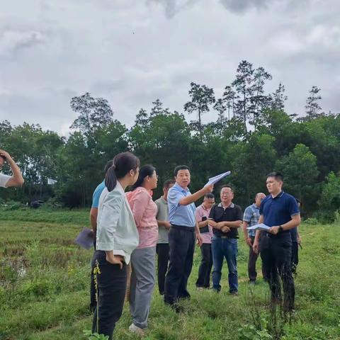 赵英杰、王杰到高标准农田建设项目和撂荒地复耕现场开展调研