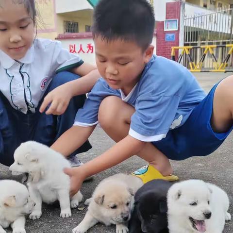 童子牵犬戏春阳，笑语欢声满画堂。