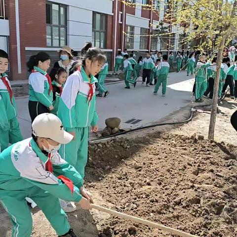 汗水浸润泥土 绿意渲染春色——灵武市第十小学三年级五班劳动教育之“开心农场”实践活动