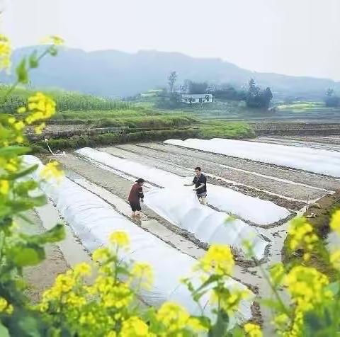 中二班《相约春天 快乐开锄》活动