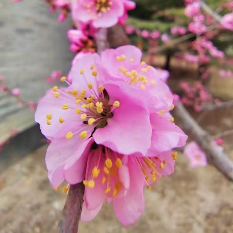 家校共筑爱心课堂 携手点燃梦想之火 🔥 一六班四月延时课纪实✍🏻