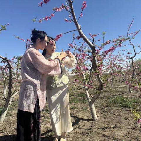 春光谱桃韵，景美人更美——南孙庄镇人大代表助力“桃花节”成为一道靓丽风景