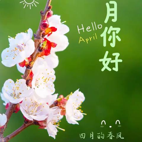 春在路上，花在枝上，所有的美好都在路上🌈