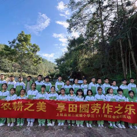 “寻农耕之美 享田园劳作之乐”——上杭县第二实验小学2023-2024学年第一学期三（1）班社会实践活动