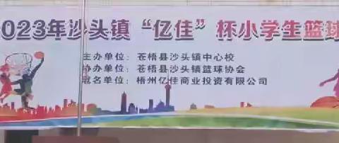 【党建引领】少年激情“篮”不住 奋发追“球”绽风采—沙头镇“亿佳杯”篮球賽（新建賽区）