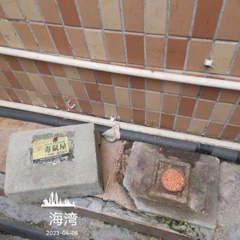 2023-4-8建诚环境科技有限公司/蛇口街道城中村及老旧小区消杀日报