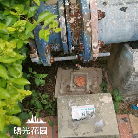 2023-4-14建诚环境科技有限公司/蛇口街道城中村及老旧小区消杀日报