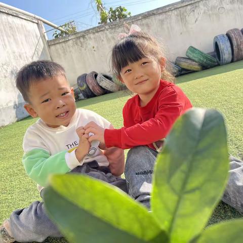 中二班🍂秋季🍂第九周