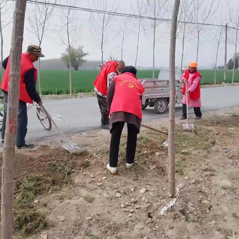 五里源乡马坊村：全员做清扫,环境更美好。