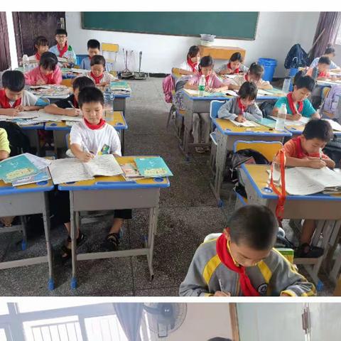 港西小学秋季一周工作总结（12月4日-12月8日）