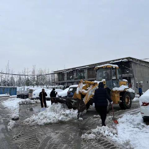 惠济区老鸦陈村闻“雪”而动，确保出行守平安