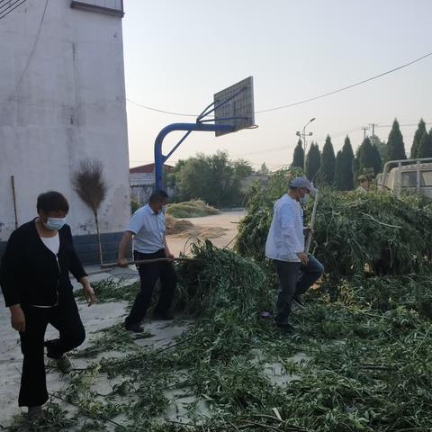 丁村开展义务劳动活动日