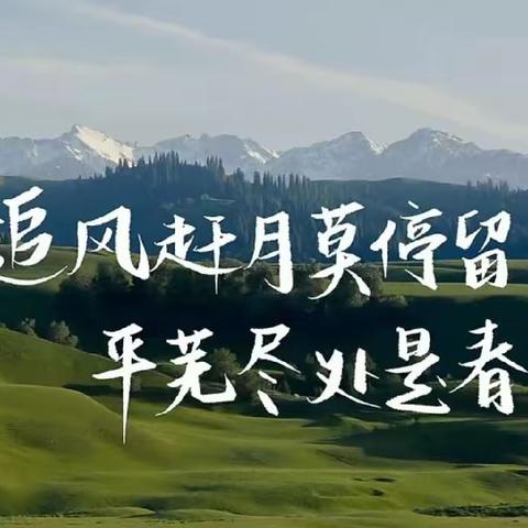 聚焦教材解读，名师助力成长——记杏坛小数教材培训活动