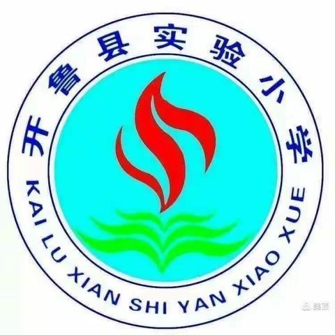 兴中华礼仪之邦，做文明礼貌少年——二年四班学习“三宽教育”之中华礼仪举止篇总结