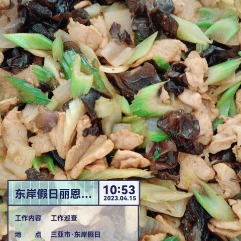 丽思卡尔顿宿舍项目2023年4月15日午餐出品