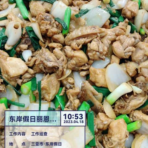 丽思卡尔顿宿舍项目2023年4月18日午餐出品