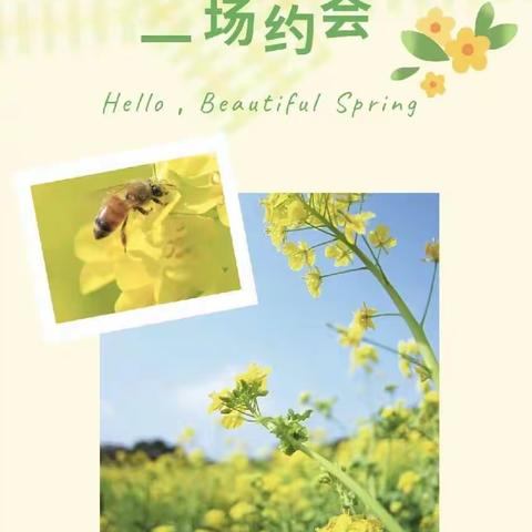 人间最美四月天，不负春光“趣”春游——记金明中学林老师团队十班春日研学活动