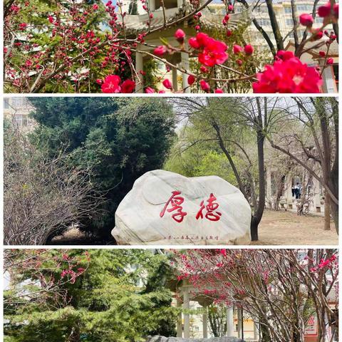 奋勇激昂，永远进步