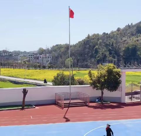 草长莺飞   万物吐绿  ——经开区福田镇跃星小学附属幼儿园植物种植观察记录主题活动