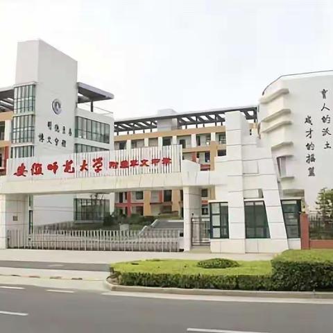 《安徽师范大学附属萃文中学观课教学》