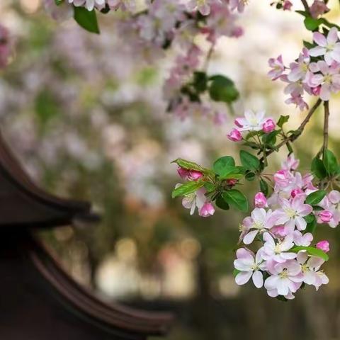 寻找生活中的错别字