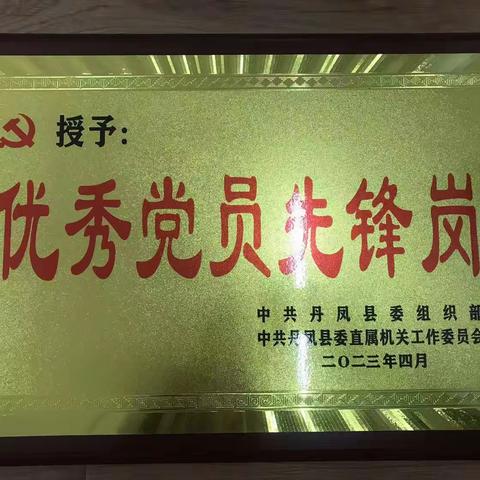 国家税务总局丹凤县税务局竹林关税务分局被授予“优秀党员先锋岗”荣誉称号