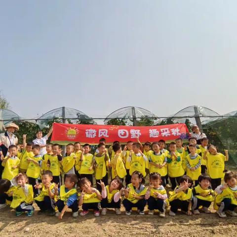 🌾〖微风、田野—趣采摘〗🌾向阳花开幼儿园大一班