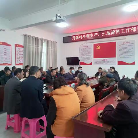 春耕备耕  早稻育秧