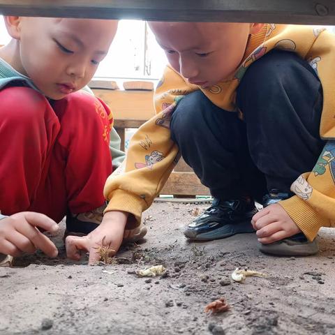 【棋民幼中三班第七期】棋盘井民族幼儿园追随孩子的脚步🍃，探索孩子眼中的世界🌻】