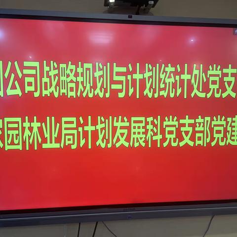 集团公司战略规划与计划统计处党支部与韩家园林业局计划发展科党支部开展党建共建活动座谈会