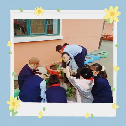 【金河劳动】我和春天有个约会——记金河小学五年一班种植活动