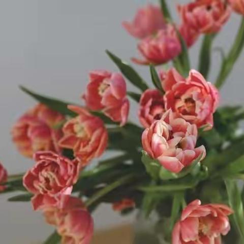 善喜班谷雨节气课结行